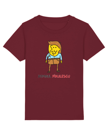 Domnul Pixulescu Burgundy
