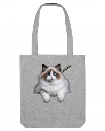 Pisica siameza ochi albastri Meow Miau Heather Grey