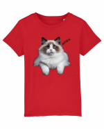 Pisica siameza ochi albastri Meow Miau Tricou mânecă scurtă  Copii Mini Creator