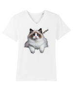 Pisica siameza ochi albastri Meow Miau Tricou mânecă scurtă guler V Bărbat Presenter