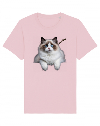 Pisica siameza ochi albastri Meow Miau Cotton Pink