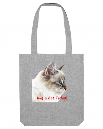 Hug a cat today Heather Grey