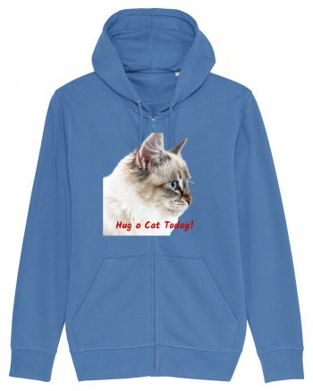 Hug a cat today Bright Blue