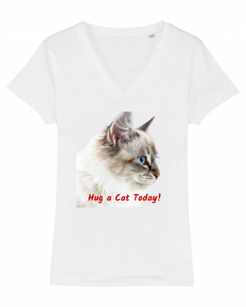 Hug a cat today White