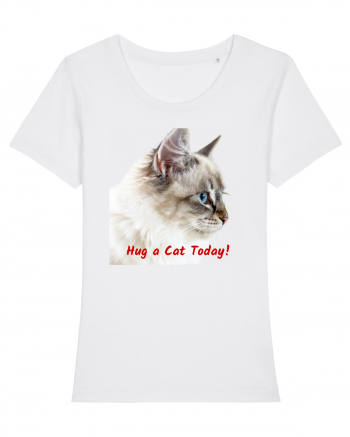 Hug a cat today White