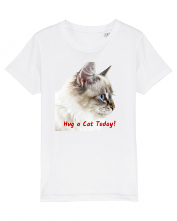 Hug a cat today White