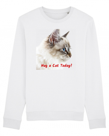 Hug a cat today White