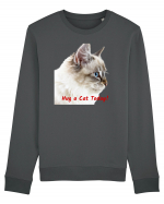 Hug a cat today Bluză mânecă lungă Unisex Rise