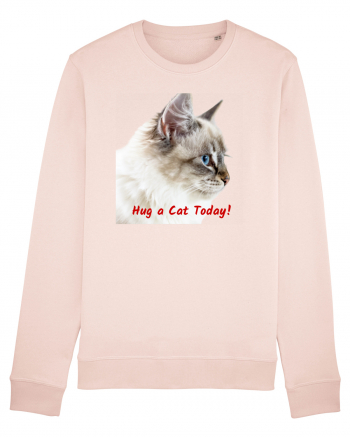 Hug a cat today Candy Pink