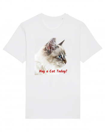 Hug a cat today White