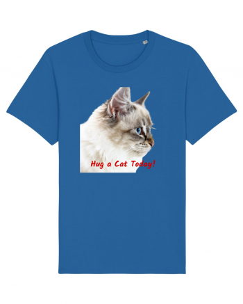 Hug a cat today Royal Blue