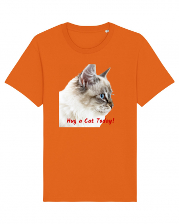 Hug a cat today Bright Orange