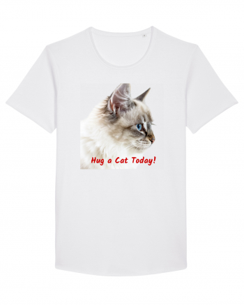 Hug a cat today White