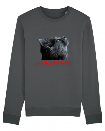 Let's Stay PAWS-itive Anthracite