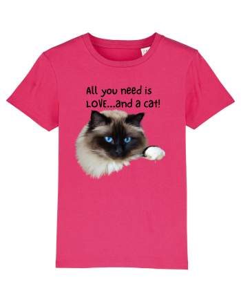 All you need is LOVE... and a cat! Raspberry