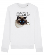 All you need is LOVE... and a cat! Bluză mânecă lungă Unisex Rise