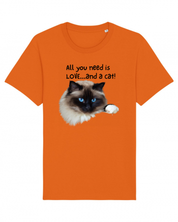 All you need is LOVE... and a cat! Bright Orange