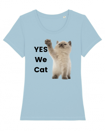 Yes We Cat, Pisica British Shorthair alba Sky Blue