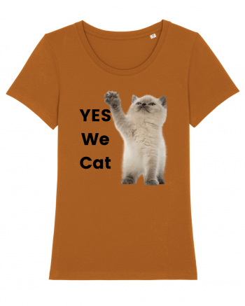 Yes We Cat, Pisica British Shorthair alba Roasted Orange