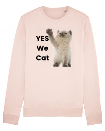 Yes We Cat, Pisica British Shorthair alba Candy Pink