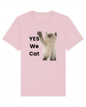 Yes We Cat, Pisica British Shorthair alba Cotton Pink