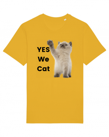 Yes We Cat, Pisica British Shorthair alba Spectra Yellow