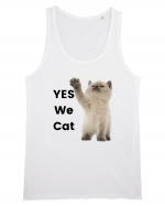 Yes We Cat, Pisica British Shorthair alba Maiou Bărbat Runs