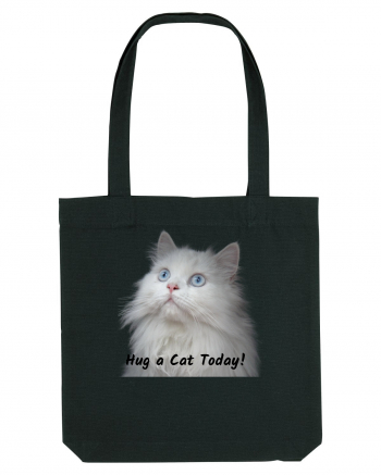 Hug a cat today, pisica ochi albastri Black