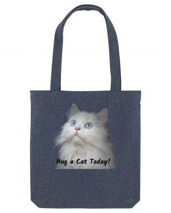 Hug a cat today, pisica ochi albastri Midnight Blue