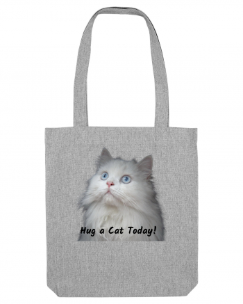 Hug a cat today, pisica ochi albastri Heather Grey