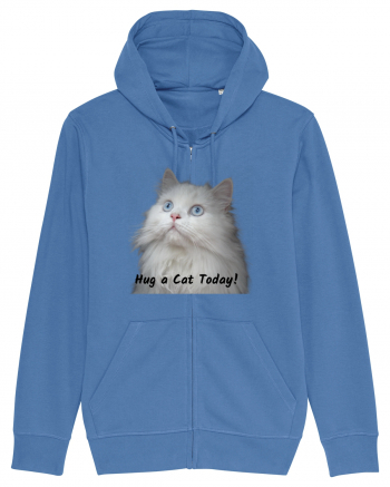 Hug a cat today, pisica ochi albastri Bright Blue