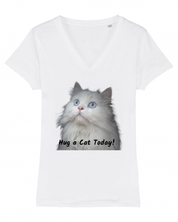 Hug a cat today, pisica ochi albastri White