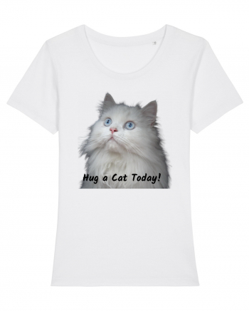 Hug a cat today, pisica ochi albastri White