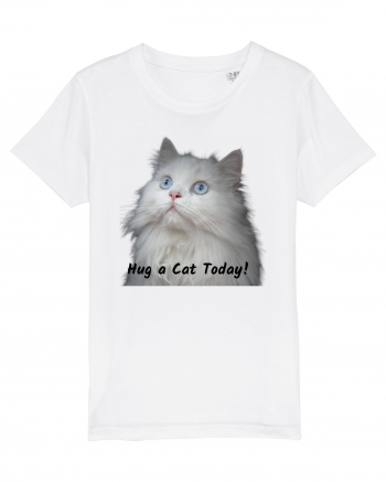 Hug a cat today, pisica ochi albastri White