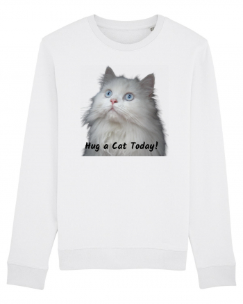 Hug a cat today, pisica ochi albastri White