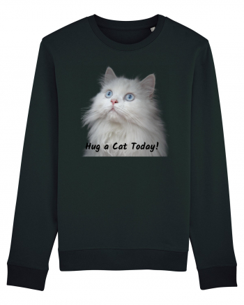 Hug a cat today, pisica ochi albastri Black