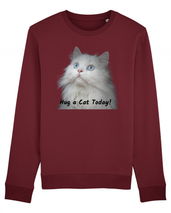 Hug a cat today, pisica ochi albastri Burgundy