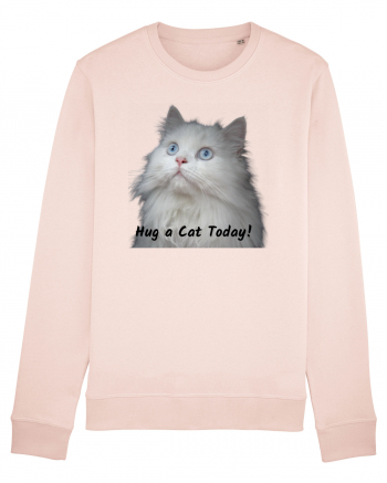 Hug a cat today, pisica ochi albastri Candy Pink