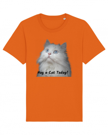 Hug a cat today, pisica ochi albastri Bright Orange