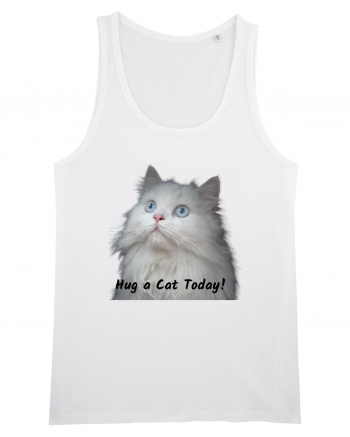 Hug a cat today, pisica ochi albastri White