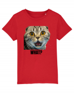 What? Tricou mânecă scurtă  Copii Mini Creator