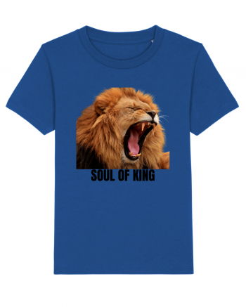 Soul of King Majorelle Blue