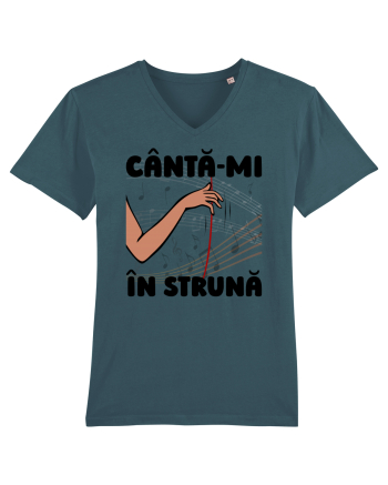 Cântă-mi în strună Stargazer