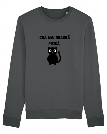 CEA MAI NEAGRA PISICA Anthracite