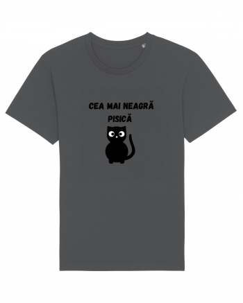 CEA MAI NEAGRA PISICA Anthracite