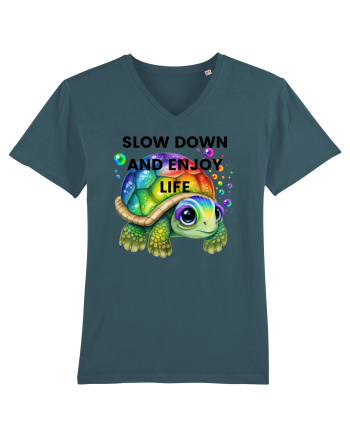 Broasca testoasa pictata in acuarela cu mesajul  Slow Down and Enjoy Life Stargazer