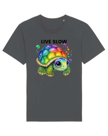 Broasca testoasa pictata in acuarela cu mesajul Live Slow Anthracite