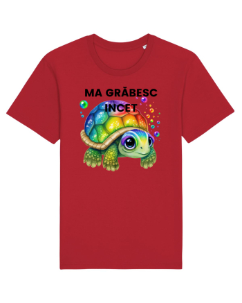 Broasca testoasa pictata in acuarela cu mesajul Ma grabesc Incet Red