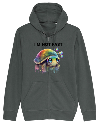 Broasca testoasa pictata in acuarela cu mesajul I'm not fast Anthracite