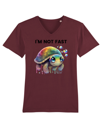 Broasca testoasa pictata in acuarela cu mesajul I'm not fast Burgundy